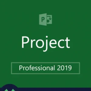 Project 2019 Professional Key