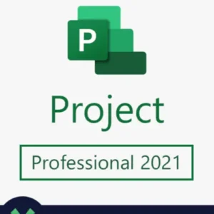 Project 2021 Professional Key